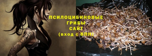 мдма Богородицк